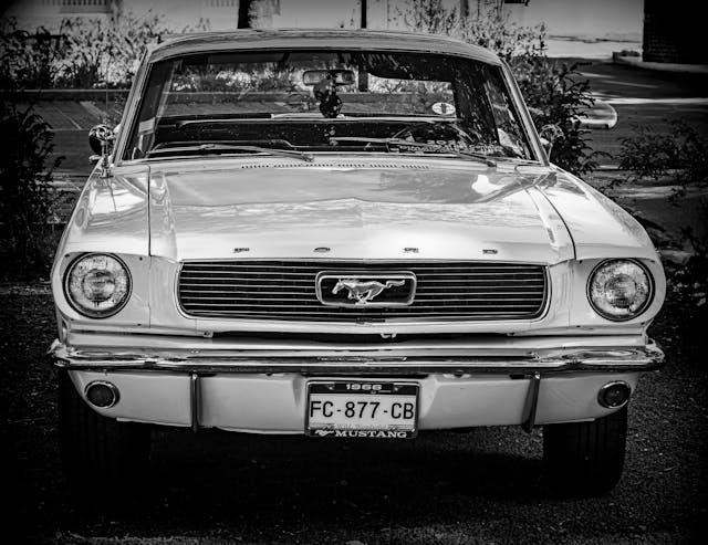 Logo Mustang original